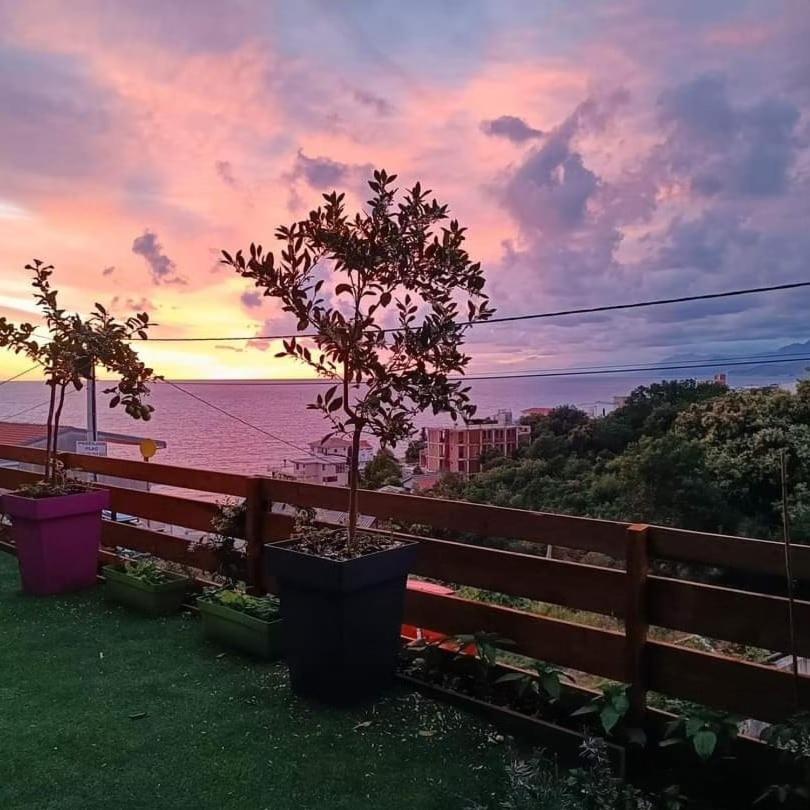 Carefree Apartments Ulcinj Zewnętrze zdjęcie